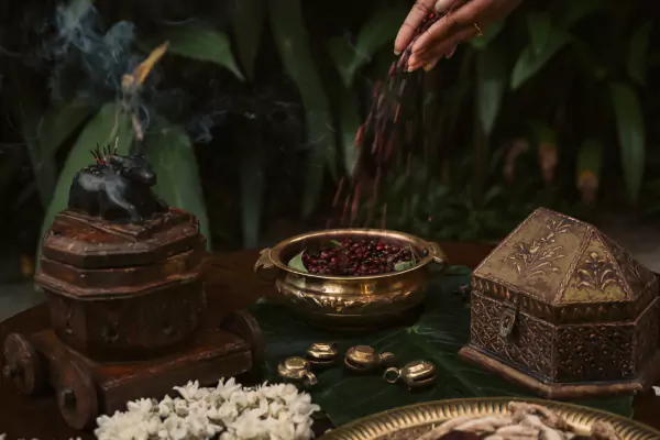 Traditional Ayurvedic herbs and preparations in brass vessels